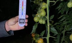 Mersin’de Seralarda Zirai Don Nöbeti Başladı