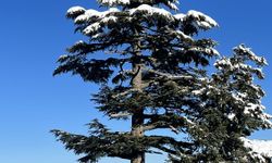 Alacabel'de hayran bırakan kar manzarası