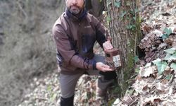 Anadolu parsına zarar vermenin cezası 45 milyon TL