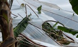 Anamur'da dolu yağışı seralara zarar verdi
