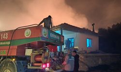 Antalya'da orman yangını (2)