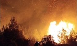 Antalya'da orman yangını