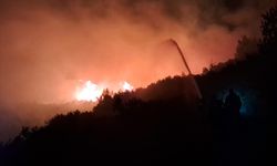 Antalya'da orman yangını/Ek fotoğraflar