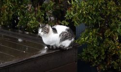 Antalya'da şiddetli yağışta yol çöktü