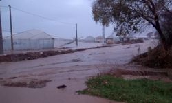 Antalya'da tarım alanlarını su bastı; mahsur kalanlar, iş makinesi ve botlarla kurtarıldı / Ek fotoğraflar