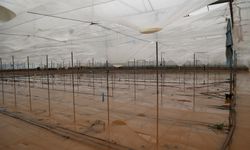 Büyükşehir, sel afetinde zarar gören vatandaşın yanında