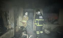 Hatay'da ev yanında mahsur kalan kediyi itfaiye kurtardı