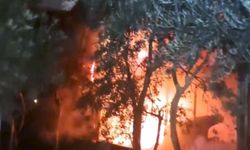 Hatay'da konteyner yangını söndürüldü