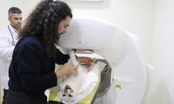 Hayvan hastaneleri 24 saat boyunca üst düzey ekipmanlarla hizmet veriyor