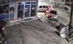 İş yeri önünde duran çiçeği çaldı