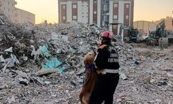 JAK köpeği 'Ocak', 8 yılda 48 can kurtardı