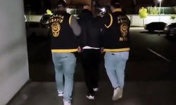 Kaskla apartmana girip, damdaki kuşları çalan şüpheli tutuklandı