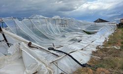 Kaş'ta fırtınadan seralar zarar gördü, ağaçlar devrildi