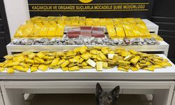 Mersin'de kaçakçılık operasyonunda 1 tutuklama