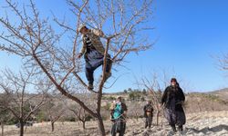 Mersin'de organik tarım yaygınlaşıyor
