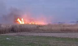 Milleyha Kuş Cenneti'nde sazlık yangını