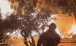 Odunluktaki yangın hasara neden oldu