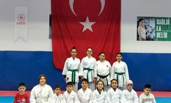 Osmaniye'de ücretsiz karate eğitimi Nasıl Alınır?