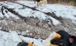 Osmaniyeli motosikletliler Amanoslar'da besleme çalışması yaptı