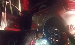 Otomobil ağaca çarptı: 1 yaralı