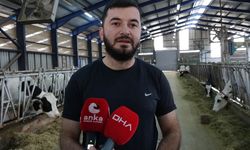 Şap hastalığı için sprey geliştirdiler