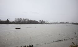 'Sarı kod'la uyarılan Antalya'da tarım alanları su altında kaldı / Ek fotoğraflar