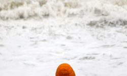 'Sarı kod'la uyarılan Antalya'da tarım alanları su altında kaldı; kanala düşen çocuk öldü (2)