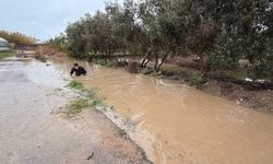 'Sarı kod'la uyarılan Antalya'da tarım alanları su altında kaldı; kanala düşen çocuk öldü / Ek fotoğraflar