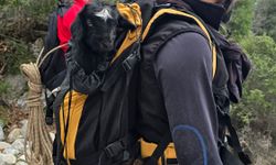 Serik'te dağlık alanda keçi kurtarma operasyonu