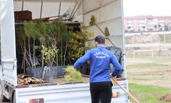 Mersin Toroslar'da ağaçlandırma seferberliği