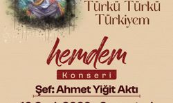 'Türkü Türkü Türkiyem Hemdem' konseri