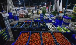 Yağmur ve hortum, sebze-meyveyi vurdu / Ek fotoğraflar