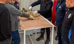 Yaralı atmaca tedavi edilerek doğaya bırakıldı