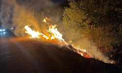 Yol kenarında çıkan yangın, ormana sıçradı