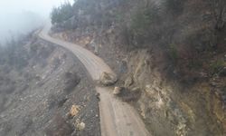 Yola düşen kaya, ulaşımın durmasına neden oldu