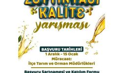 Zeytinyağı kalite yarışması için son gün 15 Ocak