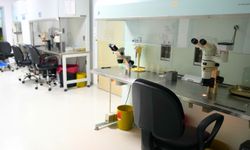 Kıbrıs Tüp Bebek: Modern Yaklaşımlar ile Güven Veren Bir Süreç