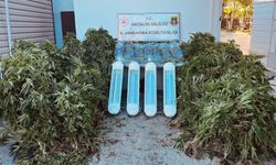 Aksu'da uyuşturucu operasyonu