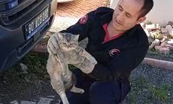 Ambulansın altına sıkışan kedi itfaiye ekiplerince kurtarıldı