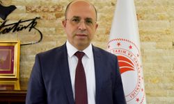 Antalya zeytinyağını markalaştıracak 30 öneri