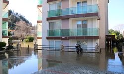 Antalya'da kuvvetli yağış 7 ilçede hasara neden oldu, mahsur kalan hayvanlar kurtarıldı (4)