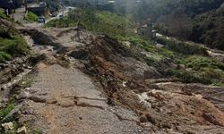 Antalya'da kuvvetli yağış 7 ilçede hasara neden oldu, mahsur kalan hayvanlar kurtarıldı (6)