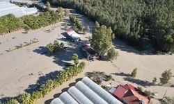 Antalya'da kuvvetli yağış 7 ilçede hasara neden oldu, mahsur kalan hayvanlar kurtarıldı / Ek fotoğraflar