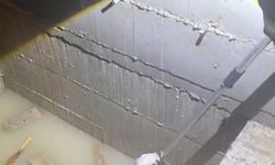 Asansör boşluğuna düşen köpek kurtarıldı