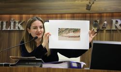 Büyükşehir meclisine Altıntaş damgası