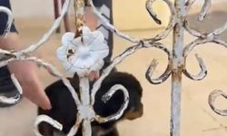 Demir korkuluklara sıkışan yavru köpeği itfaiye kurtardı