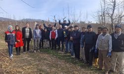 Düziçi'nde budama çalışması