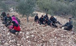 Hatay'da 30 kaçak göçmen yakalandı