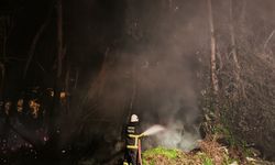 Hatay'da ağaçlık alanda yangın