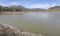 Hatay'da yağışlar barajları doldurdu